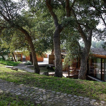 Wood Mood Lodges Cristelo エクステリア 写真